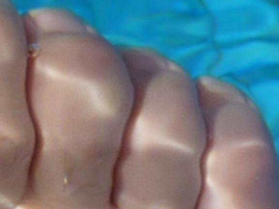 gn toes.JPG